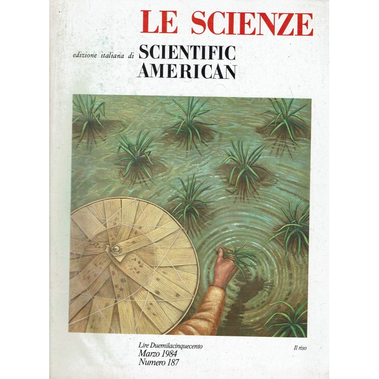 Le scienze scientific american  187 il riso ed. Le Scienze FF20
