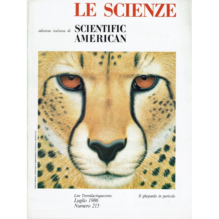 Le scienze scientific american  215 il ghepardo in pericolo ed. Le Scienze FF20