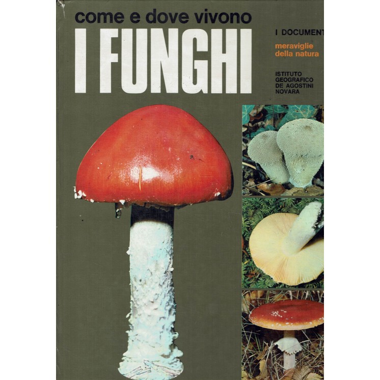 Come e dove vivono i funghi ed. DeAgostini FF02