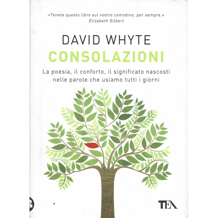 David Whyte : consolazioni ed. Tea A19