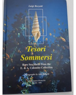 Luigi Bozzetti : tesori sommersi ed. L'Informatore Piceno FF03