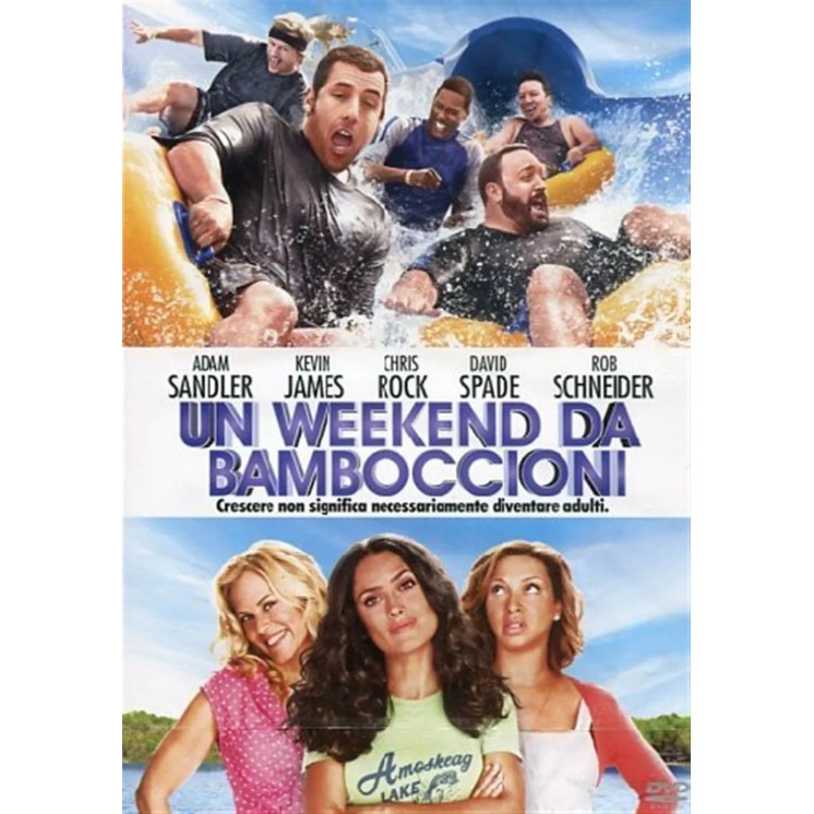 DVD Un weekend da bamboccioni ITA usato ed. Sony Pictures B76