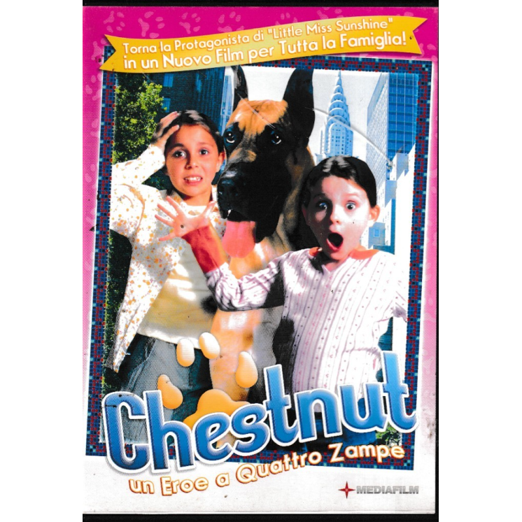 DVD Chestnut eroe quattro zampe ITA usato ed. Mediafilm B62