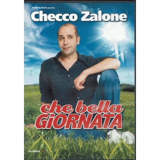 DVD Che bella giornata ITA usato ed. Warner Bros B64
