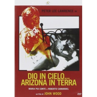 DVD Dio in cielo... Arizona in terra ITA usato ed. Quinto Piano B70