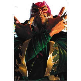 Iron Man 120 : Invincibile Iron Man 5 VARIANT di Ross ed. Panini Comics