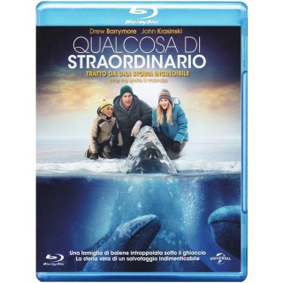 BLU-RAY Qualcosa di straordinario ITA usato ed. Universal B43