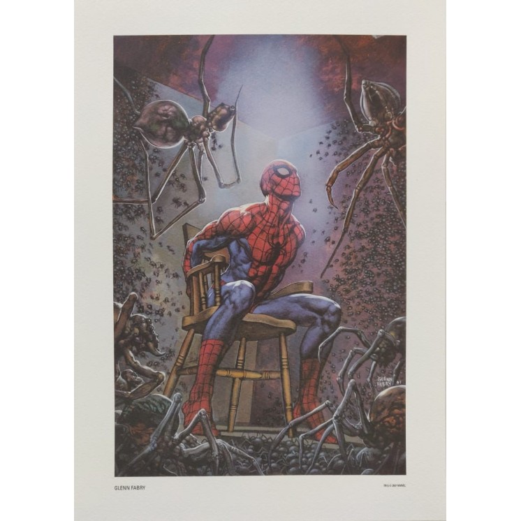 Spider-Man Stampa di Glenn Fabry 25x35 cm ed.Panini FU06