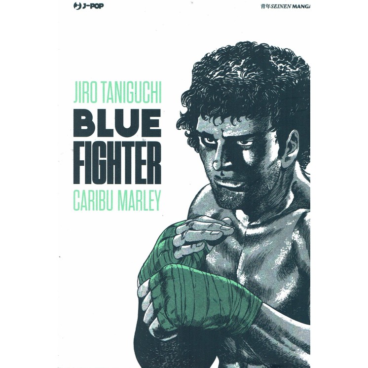 Blue Fighter di Jiro Taniguchi Volume Unico ed.Jpop 