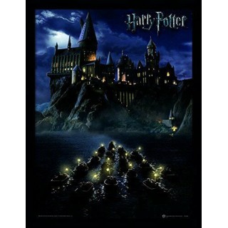 Harry Potter Hogwarts Scuola - con Cornice 30 x 40 Ufficiale Stampa GD27