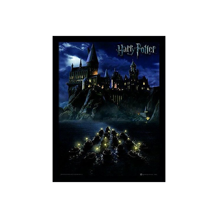 Harry Potter Hogwarts Scuola - con Cornice 30 x 40 Ufficiale Stampa GD27