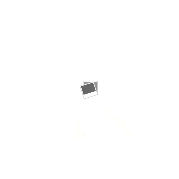 Mauro Alfredo Stabile: Gli otto grandi Ed. Graphos A25  5,00€