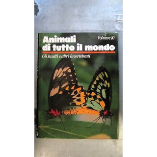 Animali di tutto il mondo: Gli insetti e altri invertebrati ILLUSTR...