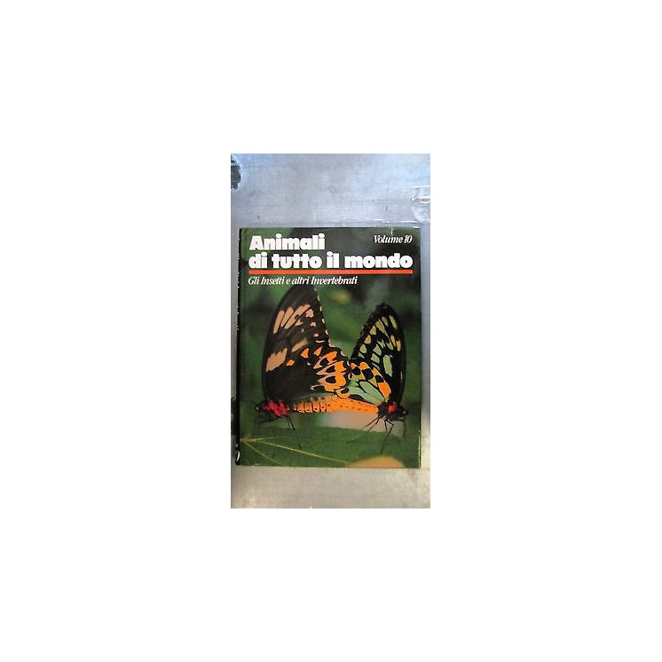 Animali di tutto il mondo: Gli insetti e altri invertebrati ILLUSTR...