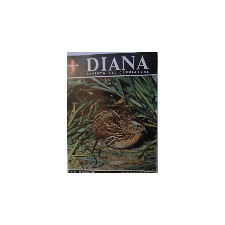 Martina's fumetti fumetteria libreria online