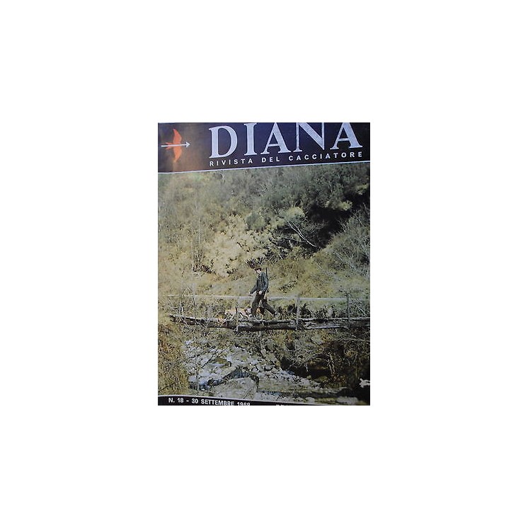 Martina's fumetti fumetteria libreria online