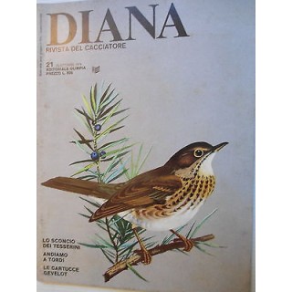 Martina's fumetti fumetteria libreria online