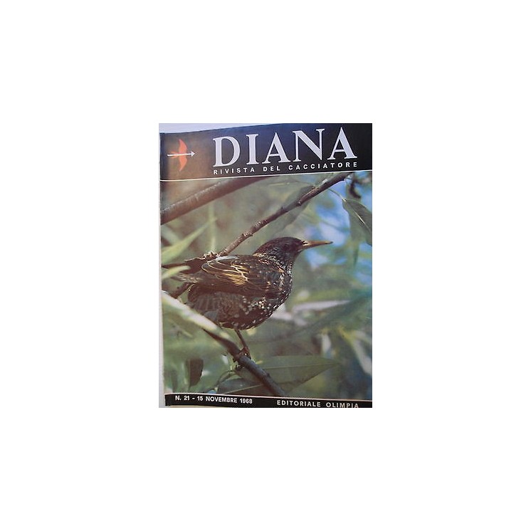 Martina's fumetti fumetteria libreria online