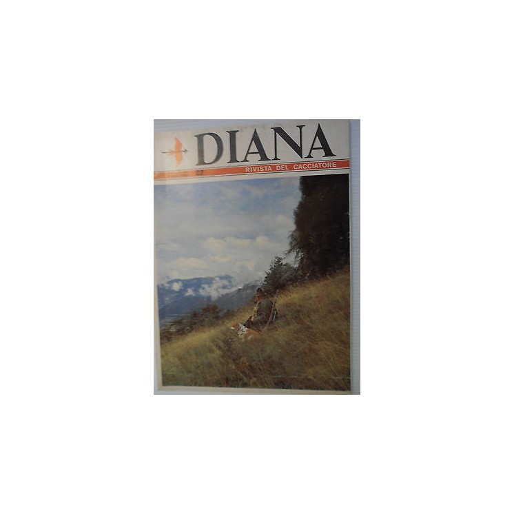 Martina's fumetti fumetteria libreria online