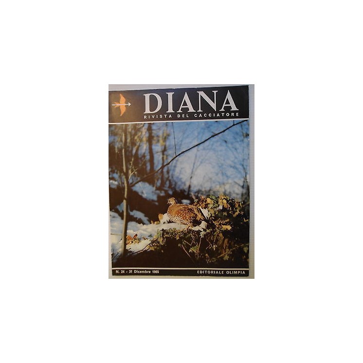 Martina's fumetti fumetteria libreria online