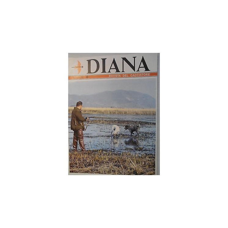 Martina's fumetti fumetteria libreria online