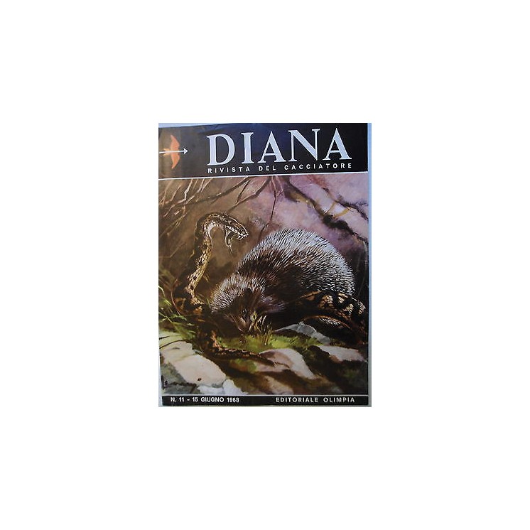 Martina's fumetti fumetteria libreria online