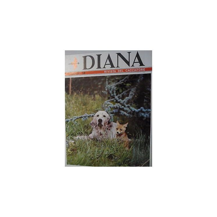 Martina's fumetti fumetteria libreria online