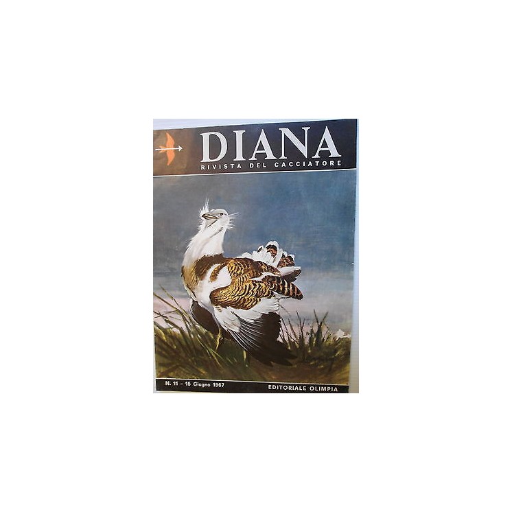 Martina's fumetti fumetteria libreria online