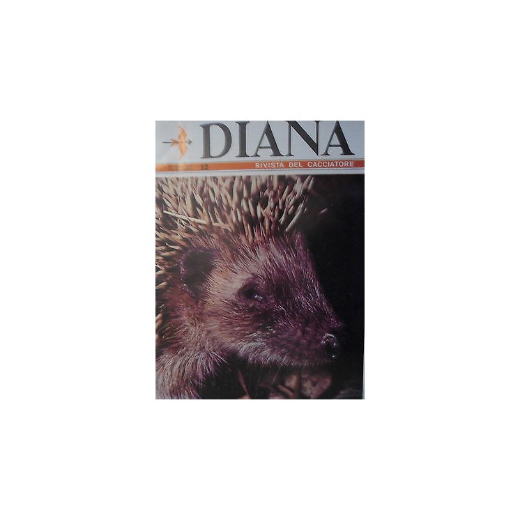 Martina's fumetti fumetteria libreria online