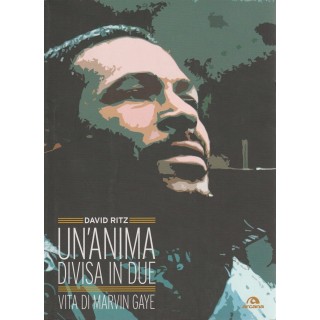 David Ritz: Un anima divisa in due Vita di M.Gaye ed.Arcana sconto ...