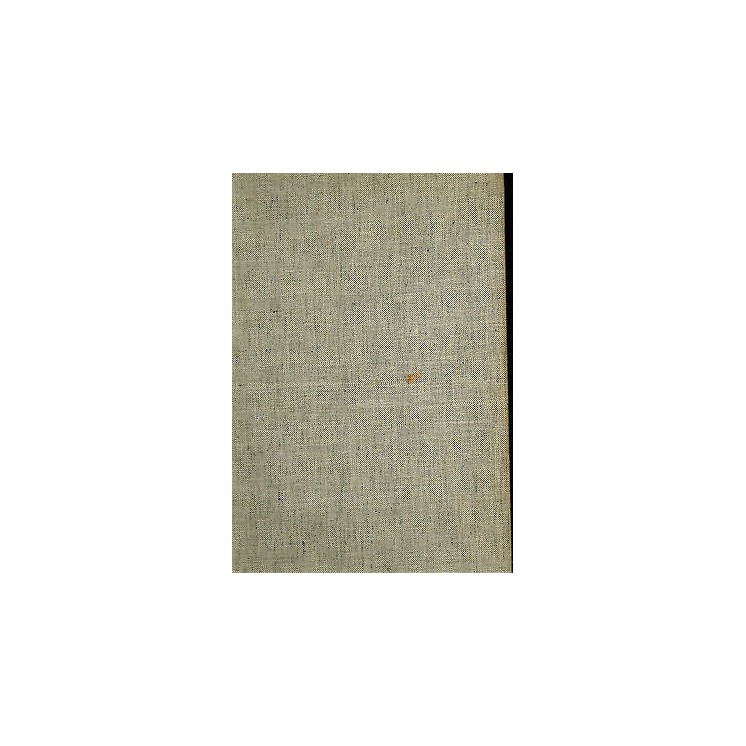 Hartt: I grandi pittori: Michelangelo ILLUSTRATO NO SOVRACCOPERTA G...