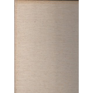 Renzo Modesti: Pittura nel mondo moderno ed.Vallardi FF13  12,50€