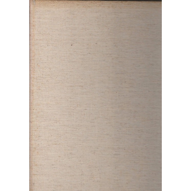 Renzo Modesti: Pittura nel mondo moderno ed.Vallardi FF13  12,50€