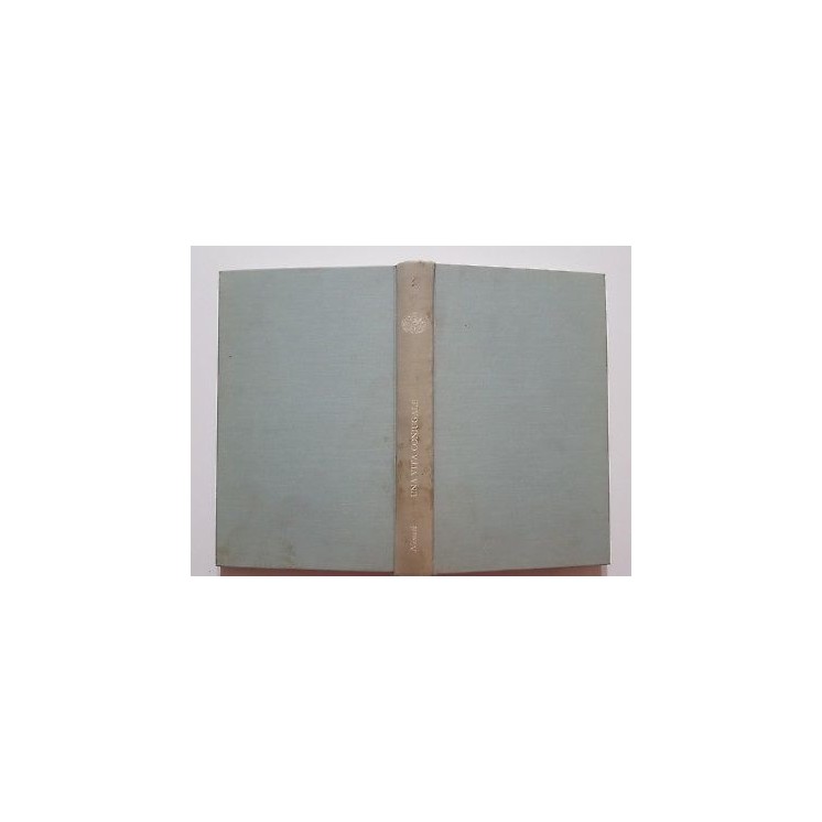 Nemeth: Una vita coniugale 1a ed. Einaudi 1965 NO SOVRACCOPERTINA A... Nemeth: Una vita coniugale 1a ed. Einaudi 1965 NO SOVRACCOPERTINA A...