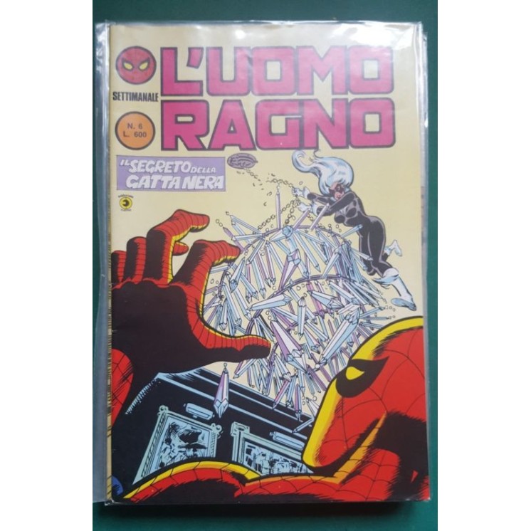 L'Uomo Ragno n. 6 il segreto della Gatta Nera II seconda serie ed. Corno